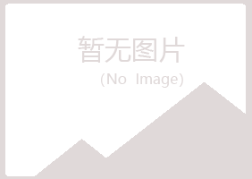 连山区心底矗陌路咨询有限公司